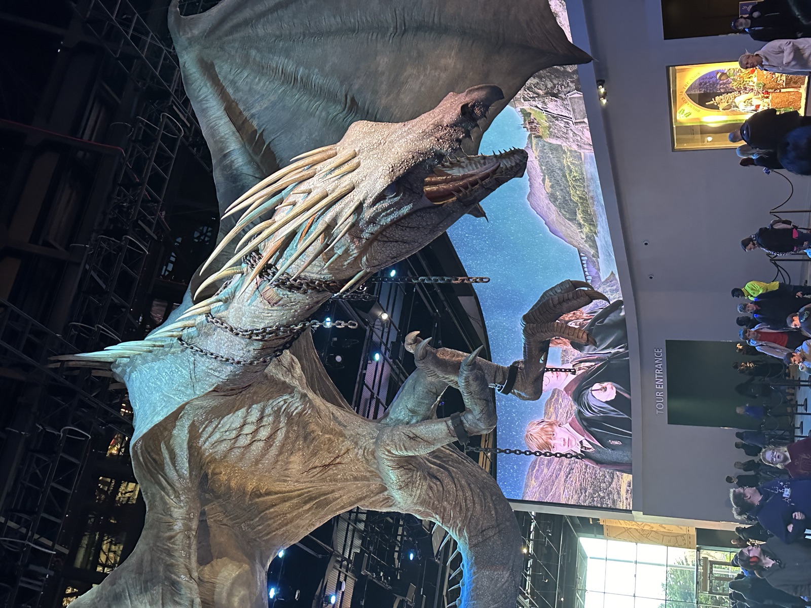 Harry Potter — Warner Bros Studio — zdjęcie 10